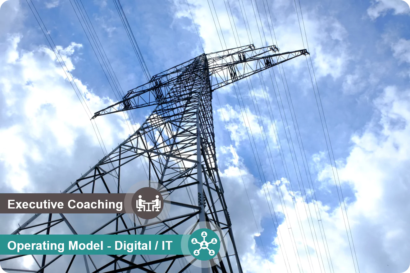 Regional Group Energy & Public Services - IT Executive Coaching